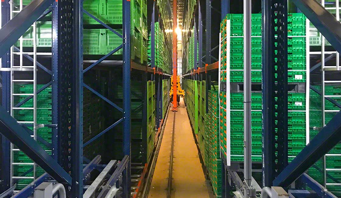 Almacén automático de Kiwi Greensun en Portugal que opera a temperatura refrigerada