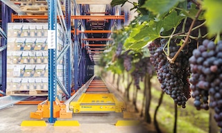 Un almacén de vinos aumenta su eficiencia y seguridad mediante la automatización