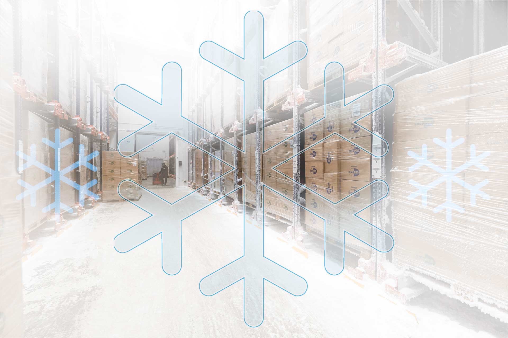 Una cámara de congelación industrial es un sitio donde mantener la mercancía a una temperatura inferior a 0 ºC Una cámara de congelación industrial es un sitio donde mantener la mercancía a una temperatura inferior a 0 ºC