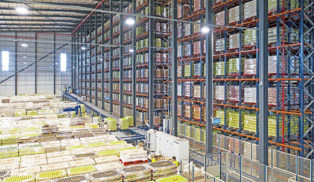 Los sistemas por compactación aprovechan la superficie disponible
