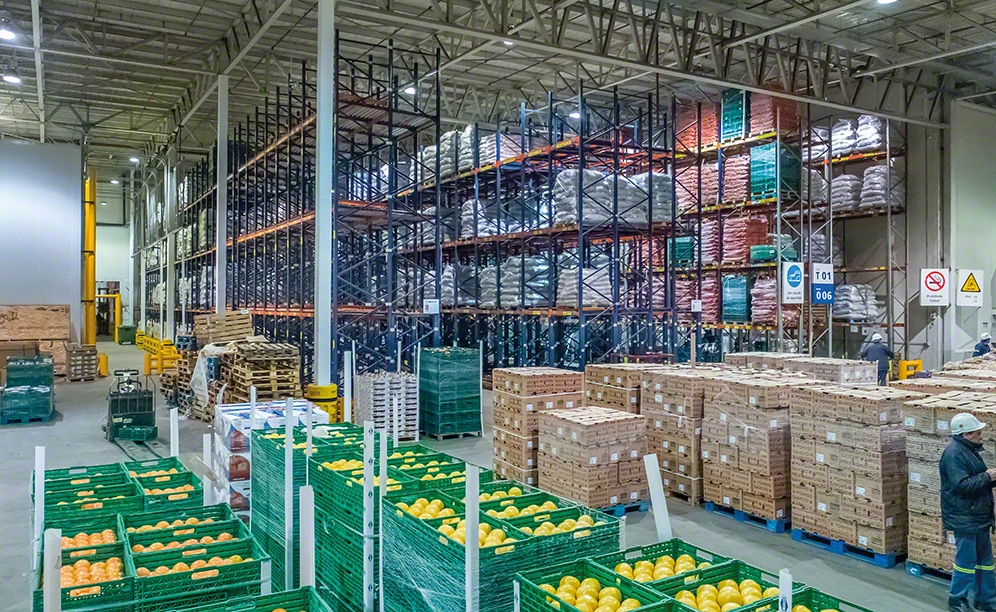 El nuevo almacén de fruta fresca, verdura y hortaliza de Coto en Argentina