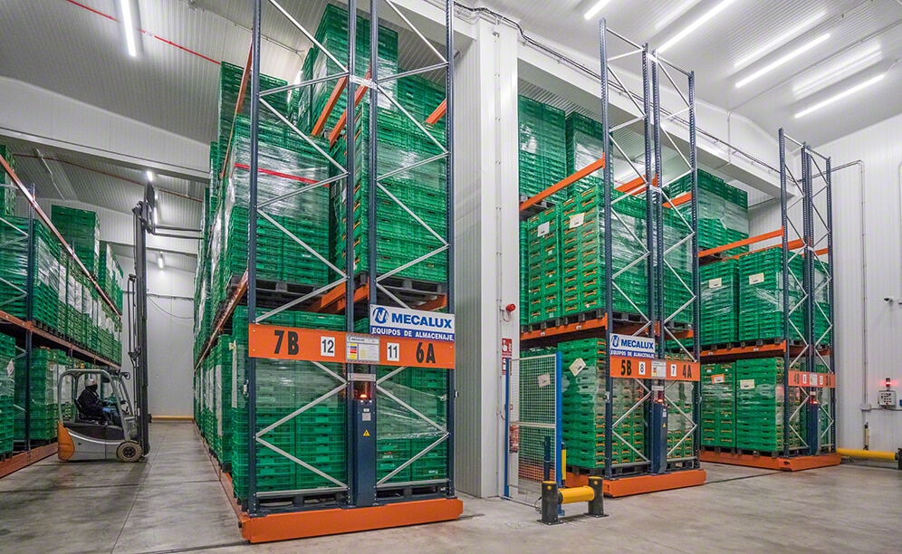 Almacén de Grupo Alimentario Citrus con varias soluciones de almacenaje