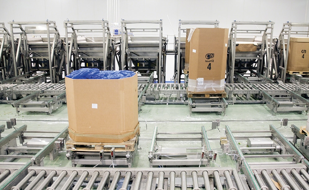Fabricados en acero inoxidable, los transportadores y equipos auxiliares de esta área son muy resistentes contra la corrosión en zonas húmedas