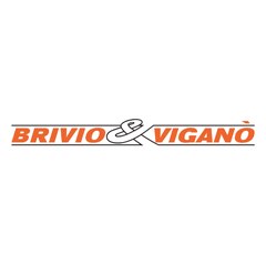 Brivio &amp; Viganò logo