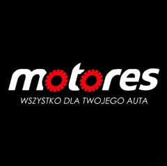 Motores: soluciones de picking para piezas de recambio de coches Motores: soluciones de picking para piezas de recambio de coches