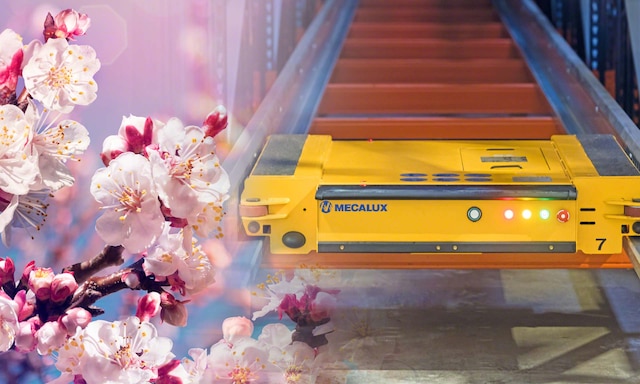 De Prado multiplica la producción con el sistema Pallet Shuttle gestionado por Easy WMS De Prado multiplica la producción con el sistema Pallet Shuttle gestionado por Easy WMS