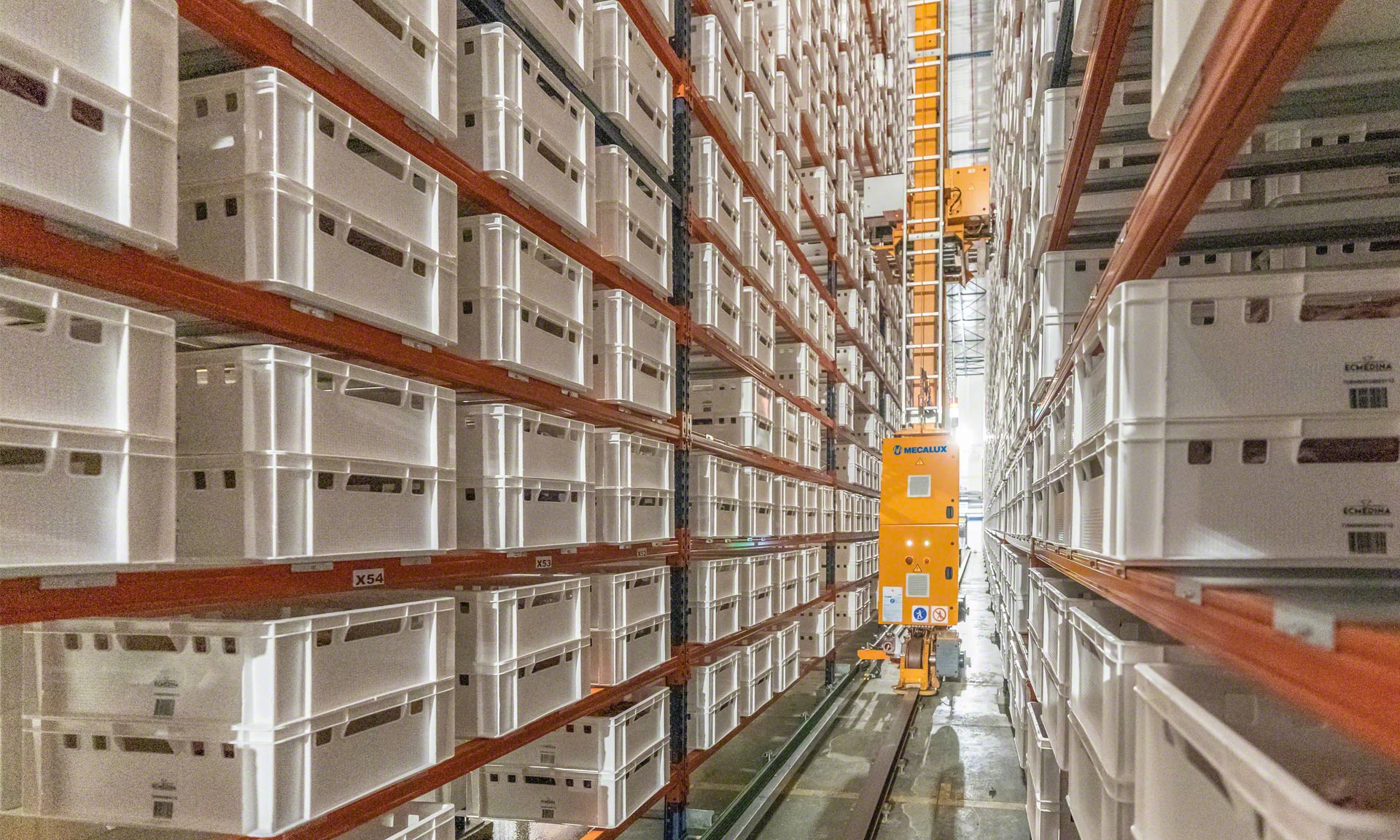 Elaborados Cárnicos Medina: 30 millones de kilos/año de ternera en un búfer automático Elaborados Cárnicos Medina: 30 millones de kilos/año de ternera en un búfer automático