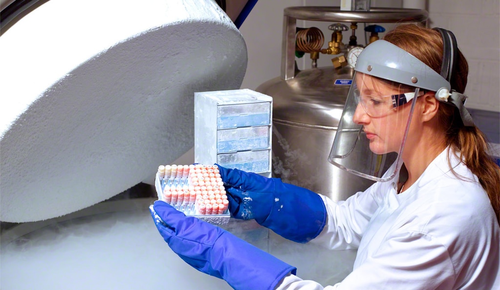 Un almacén criogénico es una instalación diseñada para mantener temperaturas muy bajas