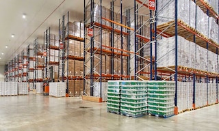 Las normas NIMF 15 certifican que los palets de madera están tratados y son aptos para la exportación de mercancías