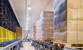 Bem Brasil gestiona 500.000 toneladas de congelados con el Pallet Shuttle Automático