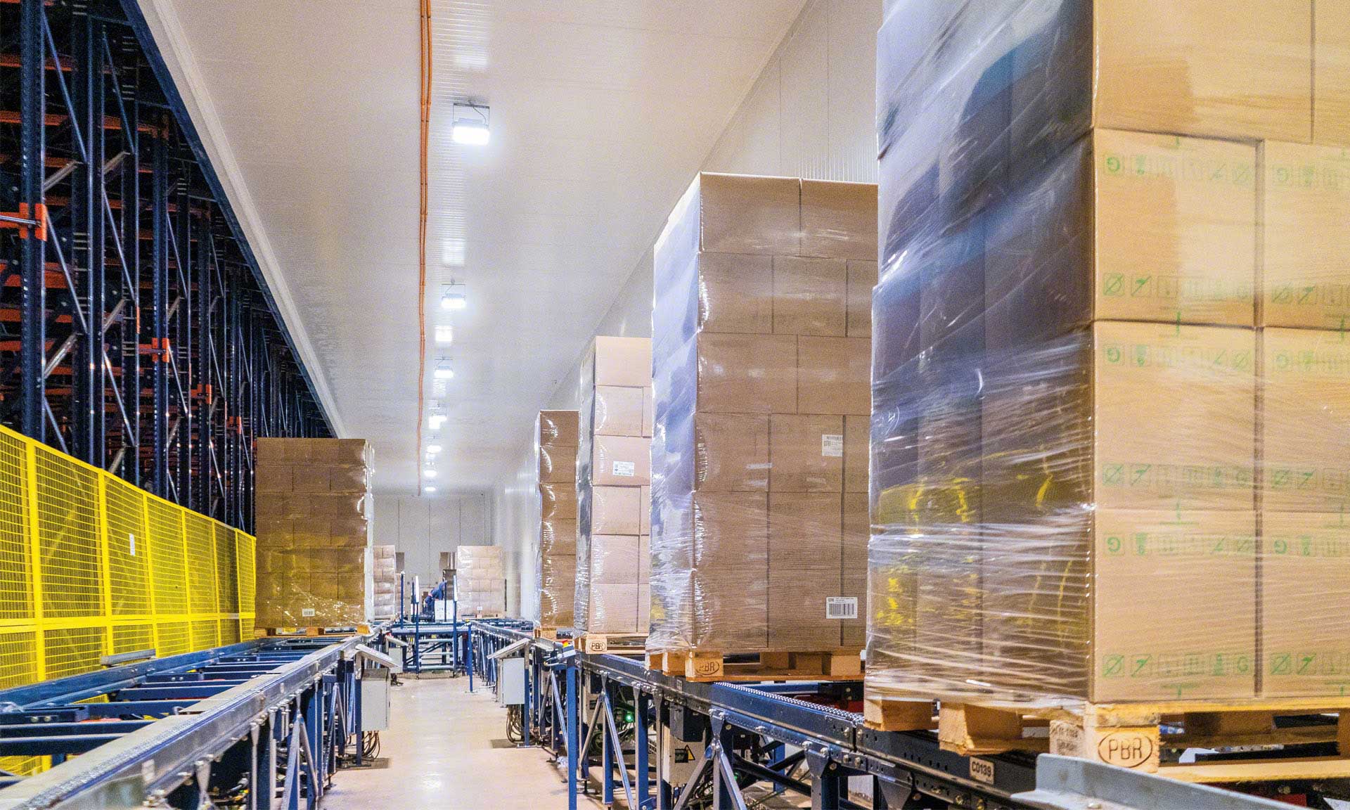 Bem Brasil gestiona 500.000 toneladas de congelados con el Pallet Shuttle Automático Bem Brasil gestiona 500.000 toneladas de congelados con el Pallet Shuttle Automático