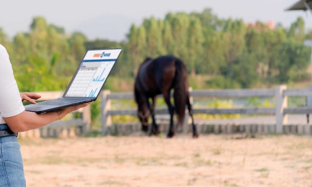 La agropecuaria Canagri gana en eficiencia al actualizar su software con Easy WMS La agropecuaria Canagri gana en eficiencia al actualizar su software con Easy WMS